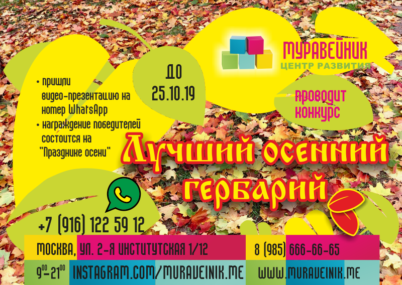 Конкурс на лучший осенний гербарий – Новости –